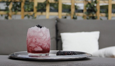 bramble artikel