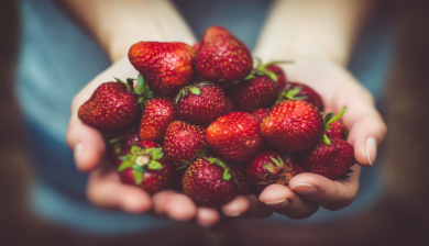 aardbeien artikel