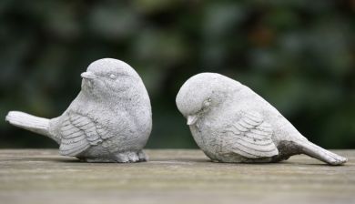 afwijzing artikel