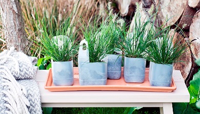Sierlijke tuinborstels
