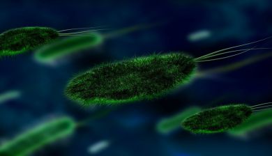 bacterievirusartikel