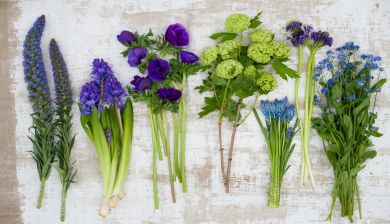 voorjaarsbloemen artikel