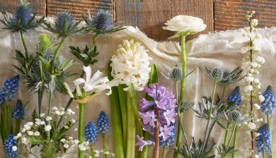 bloemen3 tekst