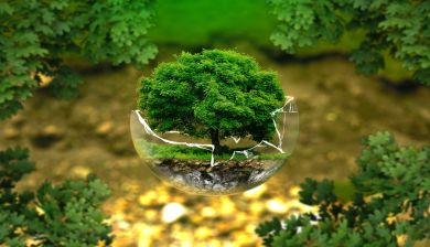 earth artikel
