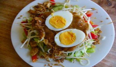 gado gado artikel