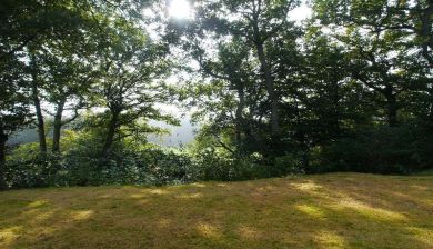 grasveld