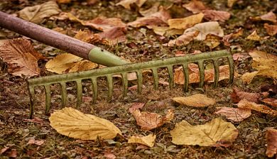 herfsttuin artikel