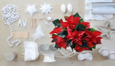 kerstster artikel