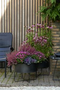 nazomertuin1