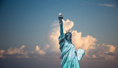 new york artikel