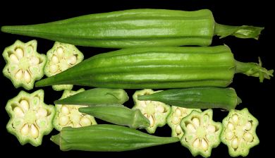 okra artikel