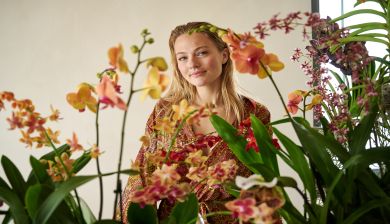 orchidee artikel