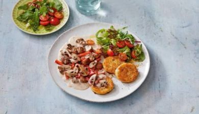 stroganoff artikel