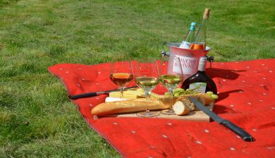picknick artikel