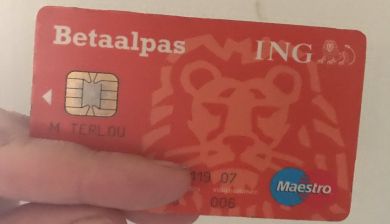 pinpas artikel