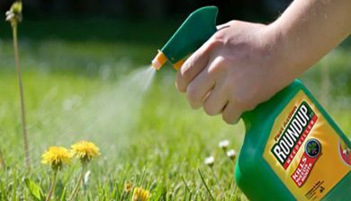 roundup