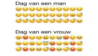 concentratie artikel
