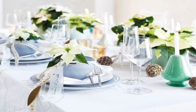tafel wit