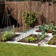 Moestuinieren populairder dan ooit