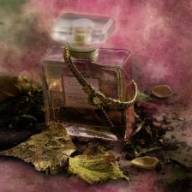De ideale plek om parfum aan te brengen