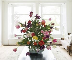 tulpendag1
